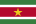 蘇里南國旗