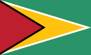 圭亞那國旗