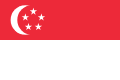 Flag新加坡的