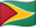 圭亞那國旗