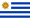 旗乌拉圭