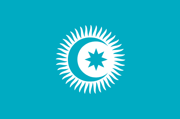 突厥國家組織